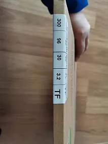 Пильный диск основной WoodTec для форматно-раскроечных станков Ø300 х 30 х 3,2 / 2,2 Z = 96 FZ/TR Пильный диск основной WoodTec для форматно-раскроечных станков Ø300 х 30 х 3,2 / 2,2 Z = 96 FZ/TR
