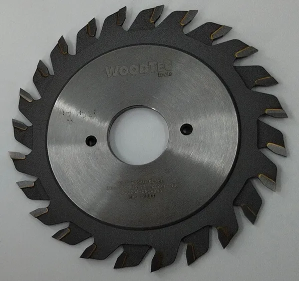 Пильный диск составной WoodTec для форматно-раскроечных станков Ø100 х 22 х 2,8-3,6 Z = 12 + 12 Пильный диск составной WoodTec для форматно-раскроечных станков Ø100 х 22 х 2,8-3,6 Z = 12 + 12